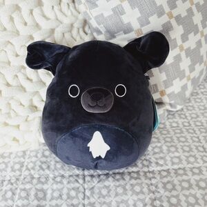 Natty the Black Dog Original Squishmallow